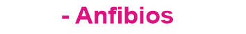 Anfibios