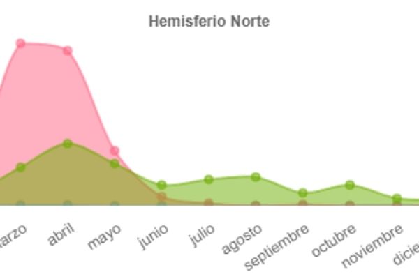 pulmonaria-fenologia4994271A-D21A-2E35-F781-DD81D6B76C95.jpg