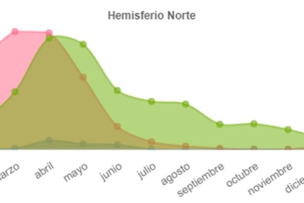 eleboro-viridis-fenologia359FDF21-5C77-1D80-A24D-B8C9603C1991.jpg