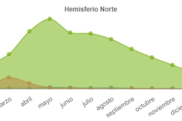 buxus-sempervirens-fenologia00C9D459-D019-A16D-39C3-6BAB291C7247.jpg