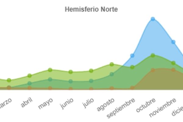 madrono-fenologia857ACF92-3DE3-63CF-A201-9C90A01686C2.jpg