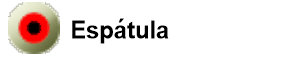 espatula.jpg