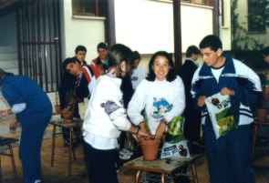 71pinos3