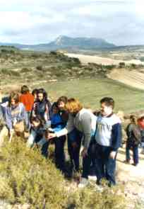 82plapr2
