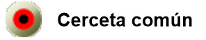 cerceta común
