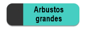 Arbustos grandes