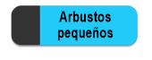 Arbustos pequeños